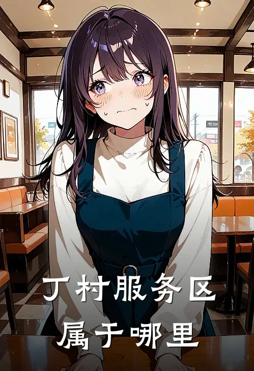 丁村服务区属于哪里