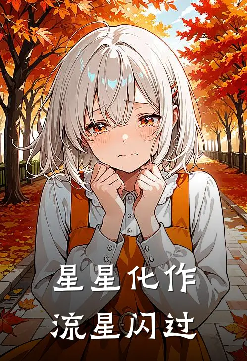 星星化作流星闪过